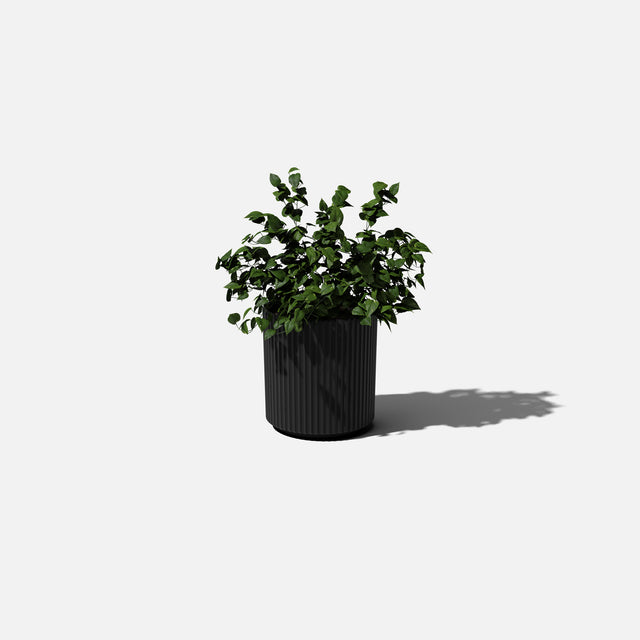 demi planter