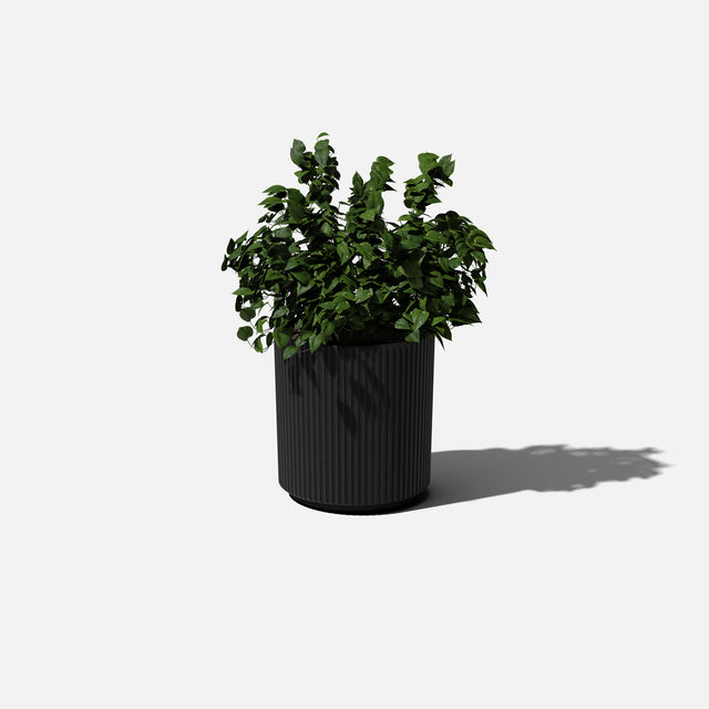 demi planter