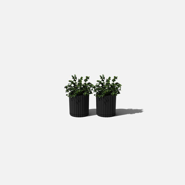 demi six planter