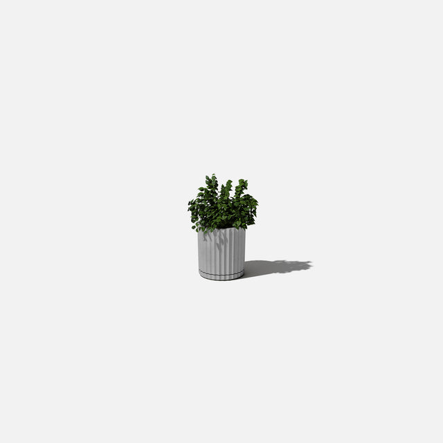 demi six planter