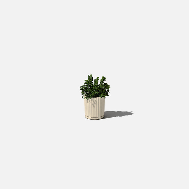 demi six planter