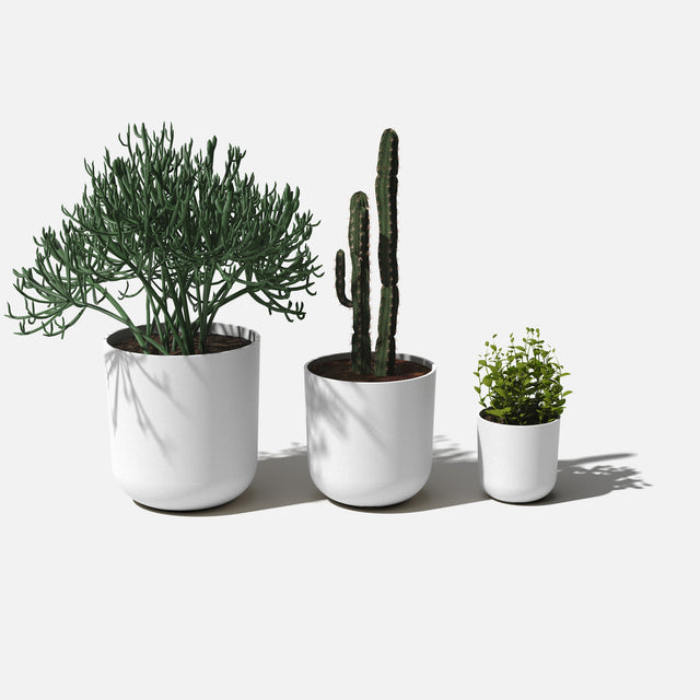 mason kona planter trio