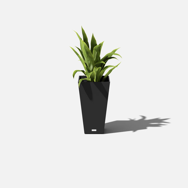 pure midland planter