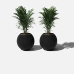 sphere planter