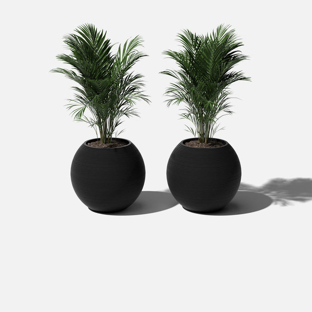 sphere planter