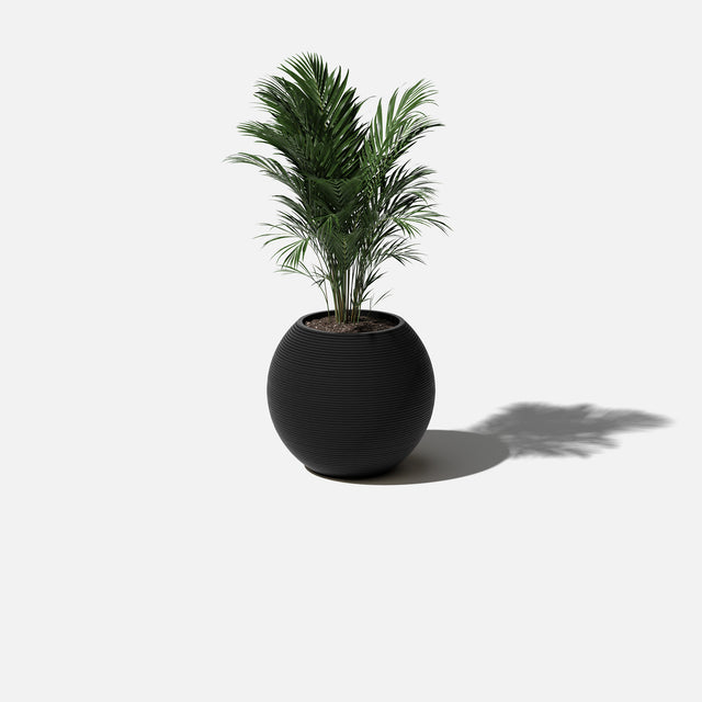 sphere planter