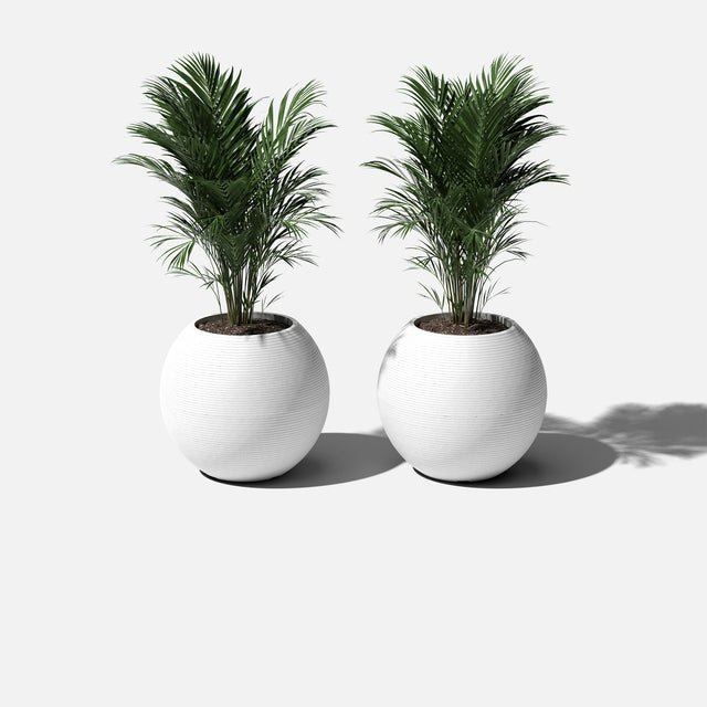 sphere planter