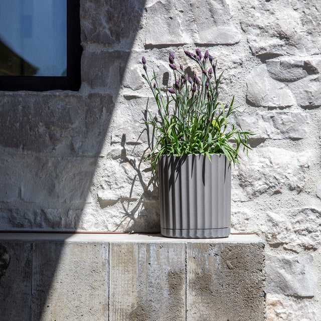demi six planter