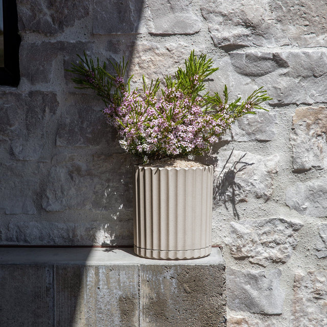 demi six planter