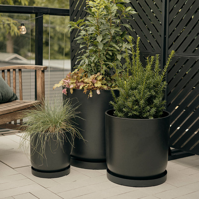mason kona planter trio
