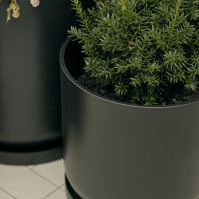 mason kona planter trio