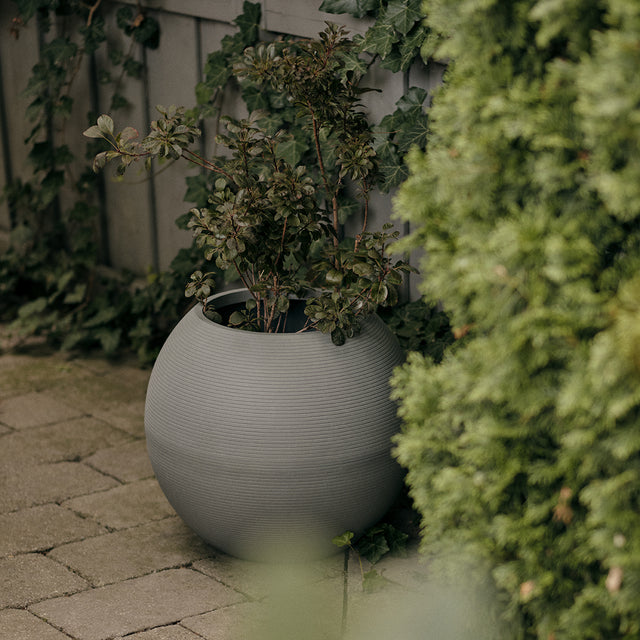 sphere planter