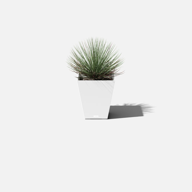 pure nobleton planter