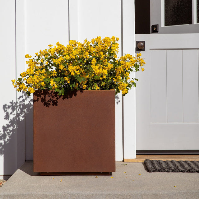 corten cube planter