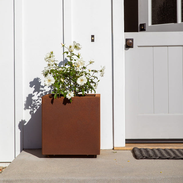 corten cube planter