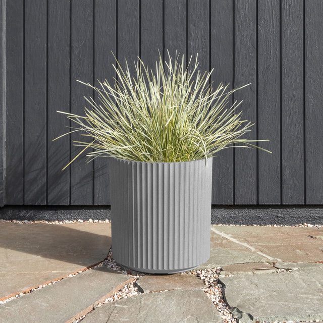 demi planter