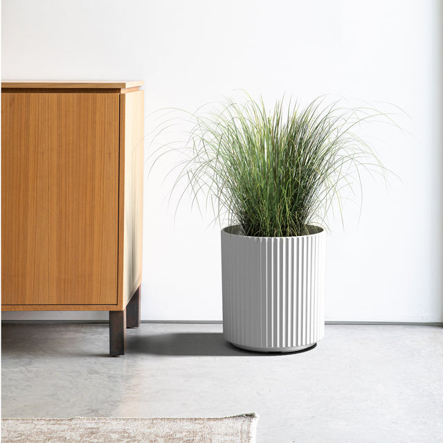 demi planter