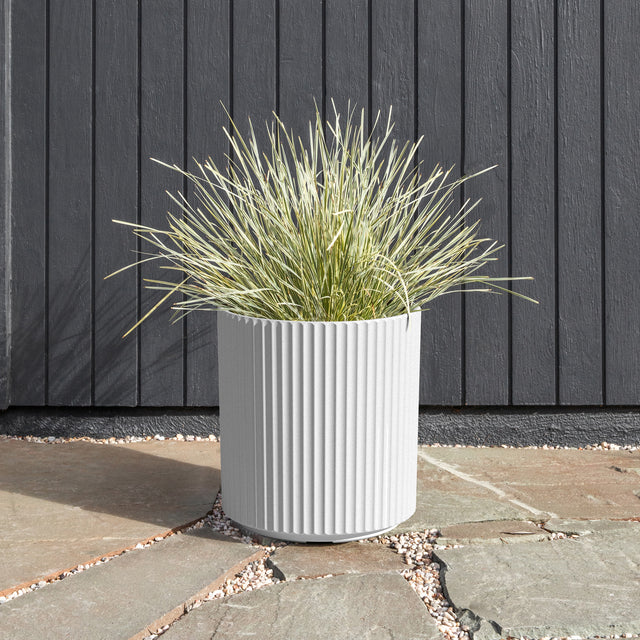 demi planter