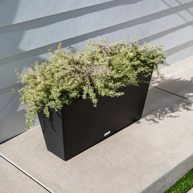 pure midori planter