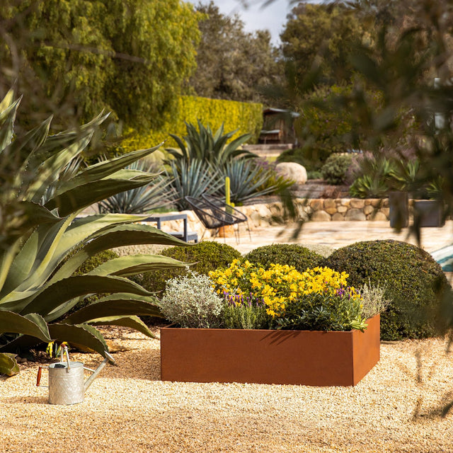 corten garden bed planter