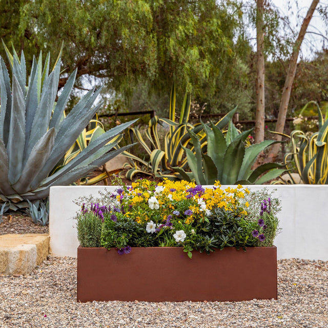 corten garden bed planter