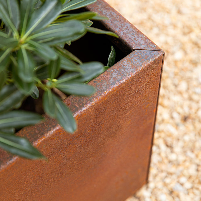 corten garden bed planter