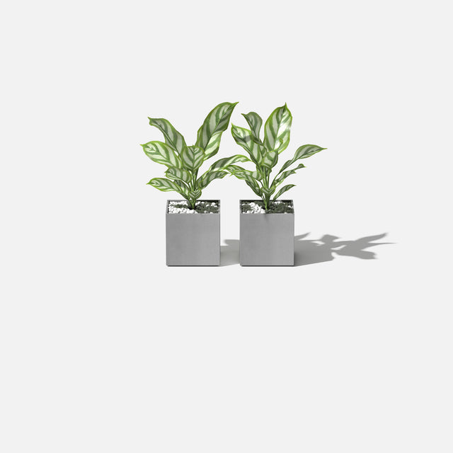 geo cube planter