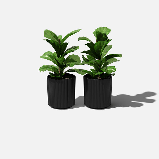 demi planter