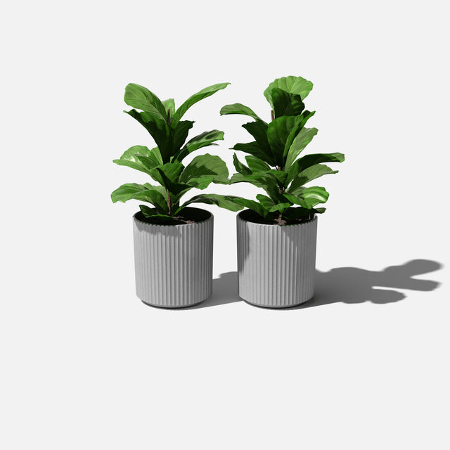 demi planter