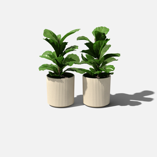 demi planter