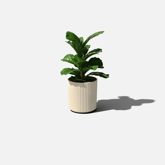 demi planter