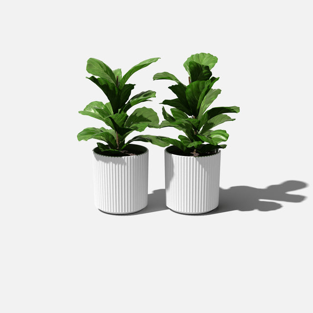 demi planter