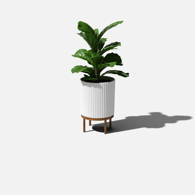 demi raised planter