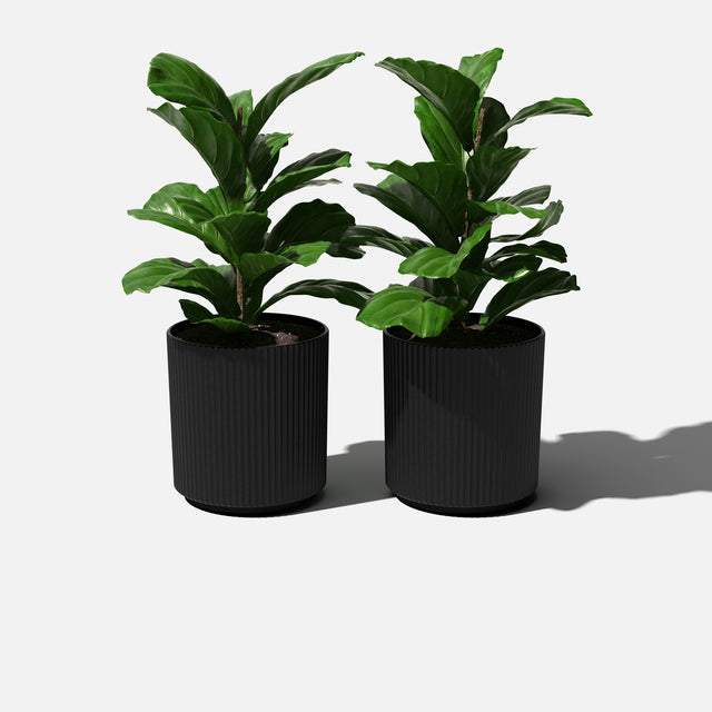 demi planter