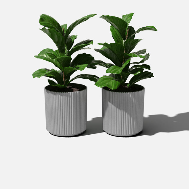 demi planter