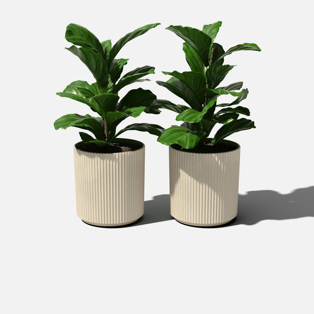 demi planter