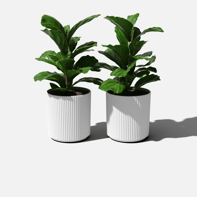 demi planter